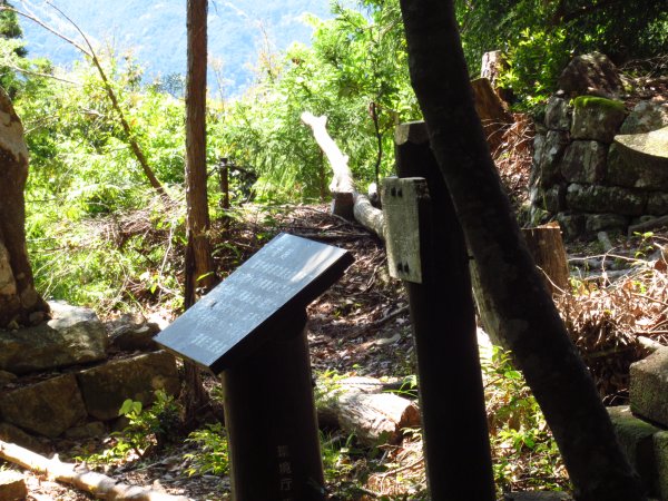 登山道